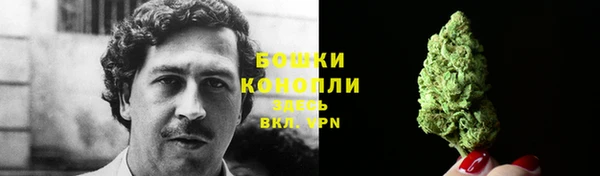 прущие грибы Володарск